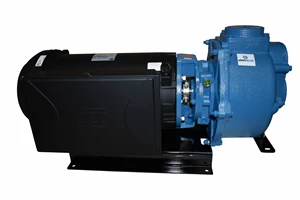 *3" SELP-PRIMING PUMP 10HP 1 PHASE